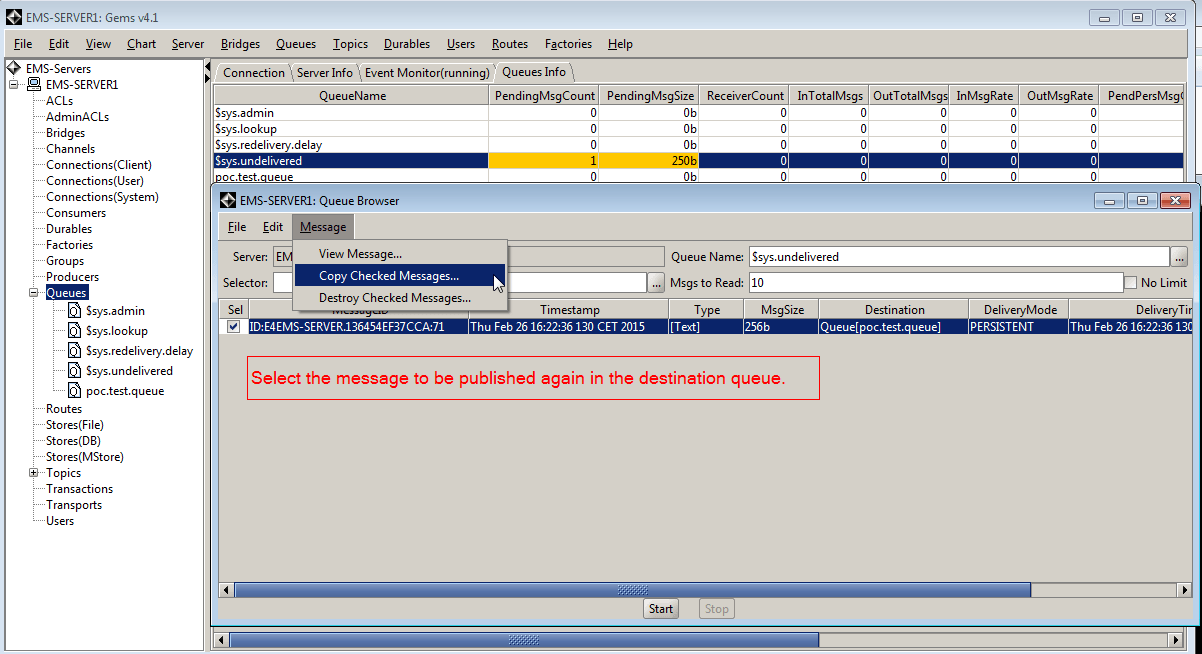 how-to-configure-and-test-tibco-ems-bridging-devoteam-netherlands